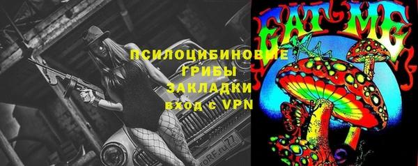прущая мука Абаза