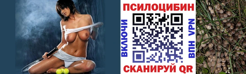 Псилоцибиновые грибы прущие грибы  что такое   Нефтегорск 